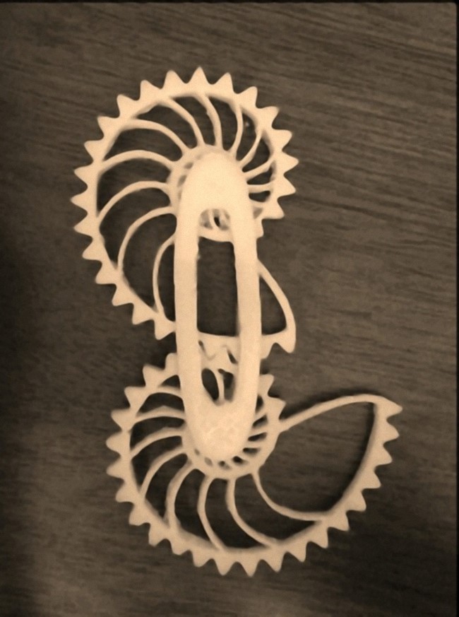 Nautilus Gears