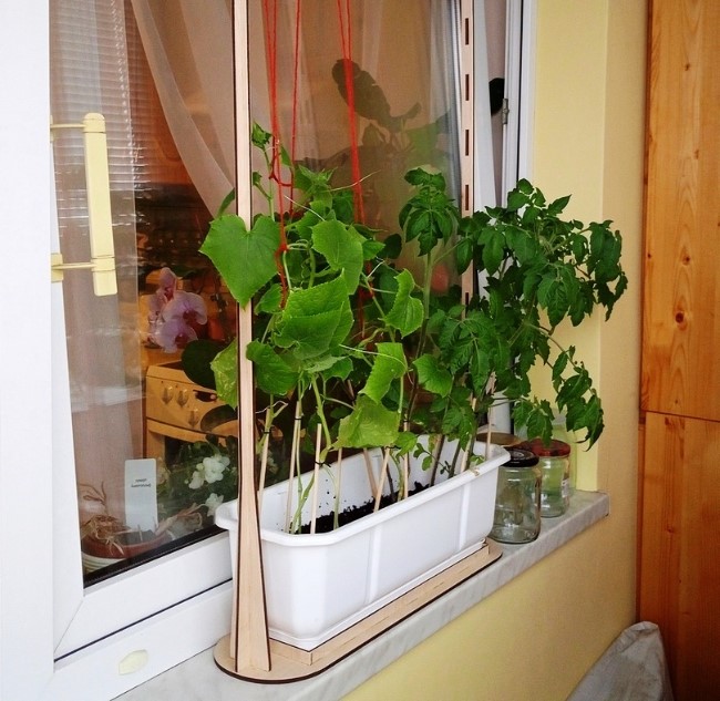 Plant stand