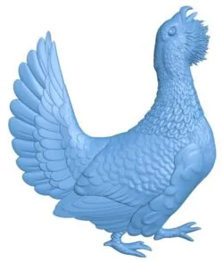 Cock – Wild chicken