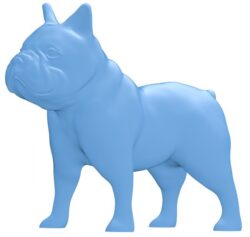 French bulldog