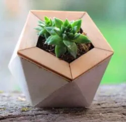 Geometric planters