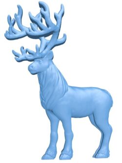 Reindeer