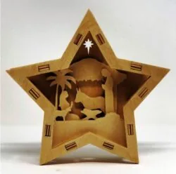 Christmas star