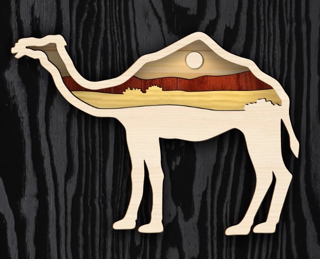 Layered camel