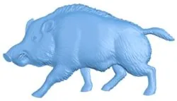 Boar