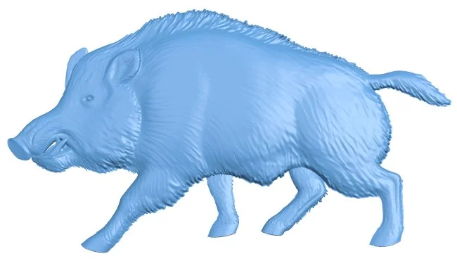 Boar