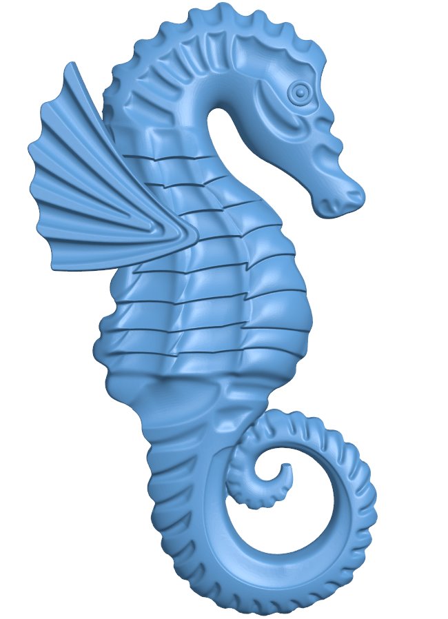 Seahorses