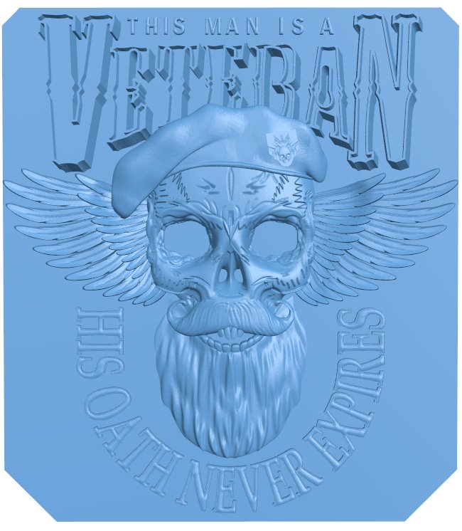 Skull veteran logo