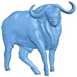 Buffalo