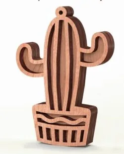 Cactus pot