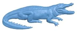 Crocodile