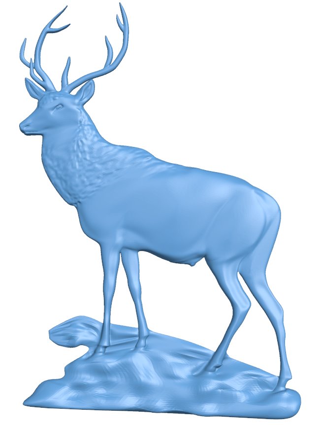 Deer