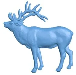 Deer