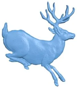 Deer