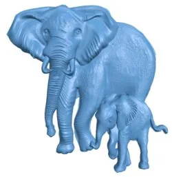 Elephants