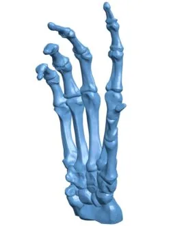 Bone Hand