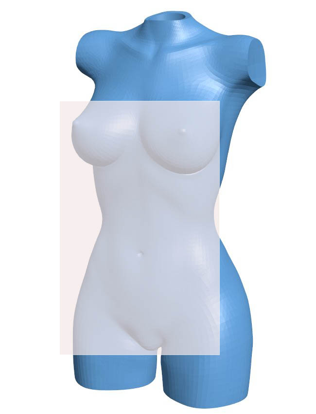 Female body