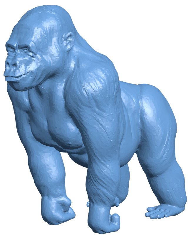 Gorilla