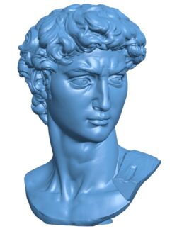 Head of Michelangelo’s David