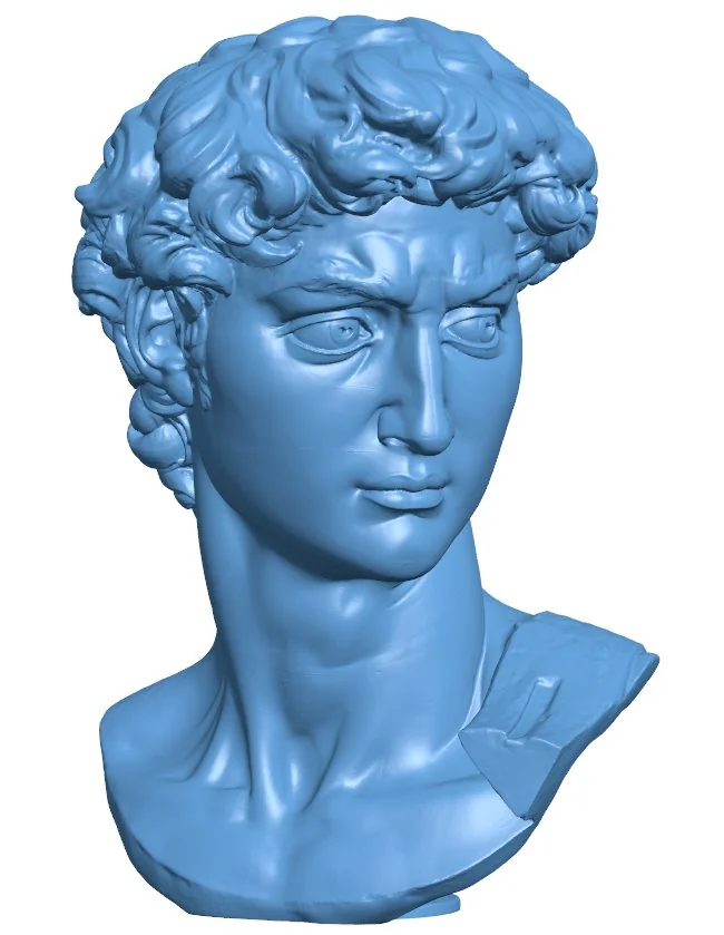 Head of Michelangelo's David