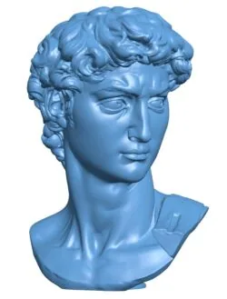 Head of Michelangelo’s David