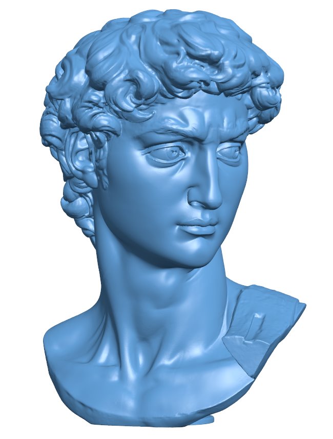 Head of Michelangelo's David