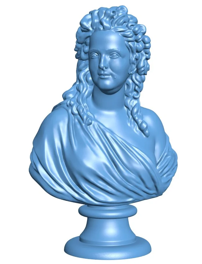 Met bust of madame de wailly - man