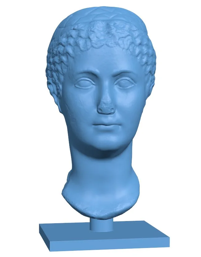 Met matidia minor - head