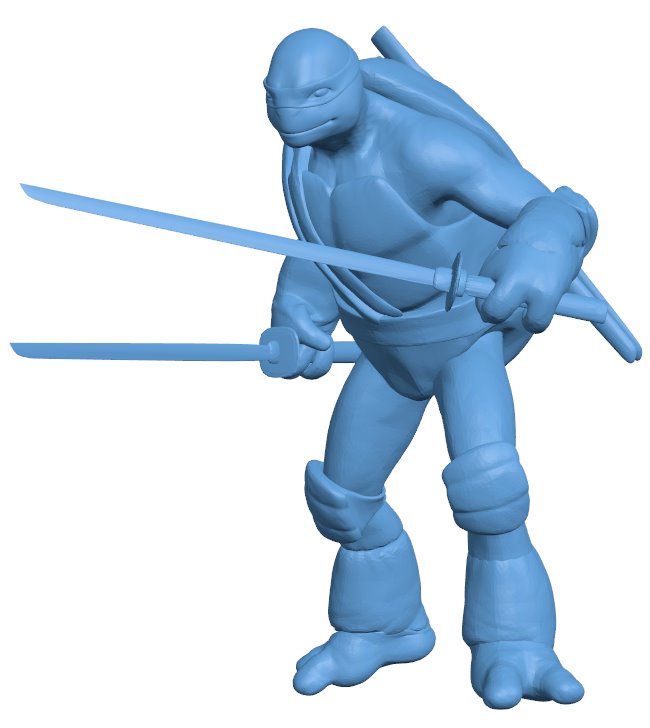 Ninja wielding a sword - TMNT Leonardo