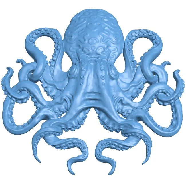 Octo