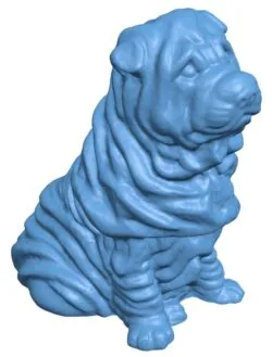 Shar Pei – dog