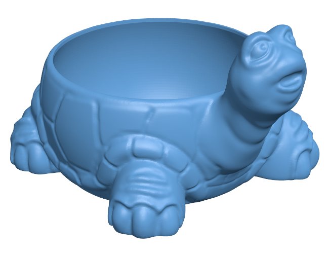 Tortoise Candy Dish