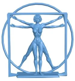 Vitruvian woman