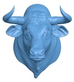 Wild bull – head