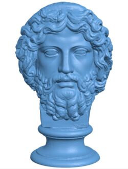 Bearded Diety, Zeus