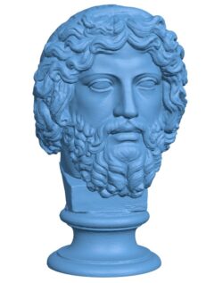 Bearded Diety, Zeus
