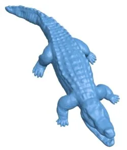 Crocodile