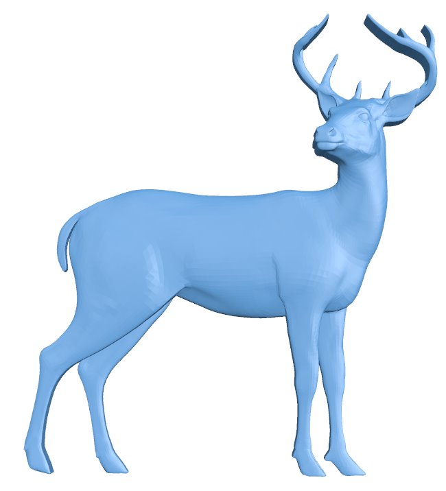 Deer