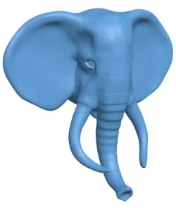 Elephant Head