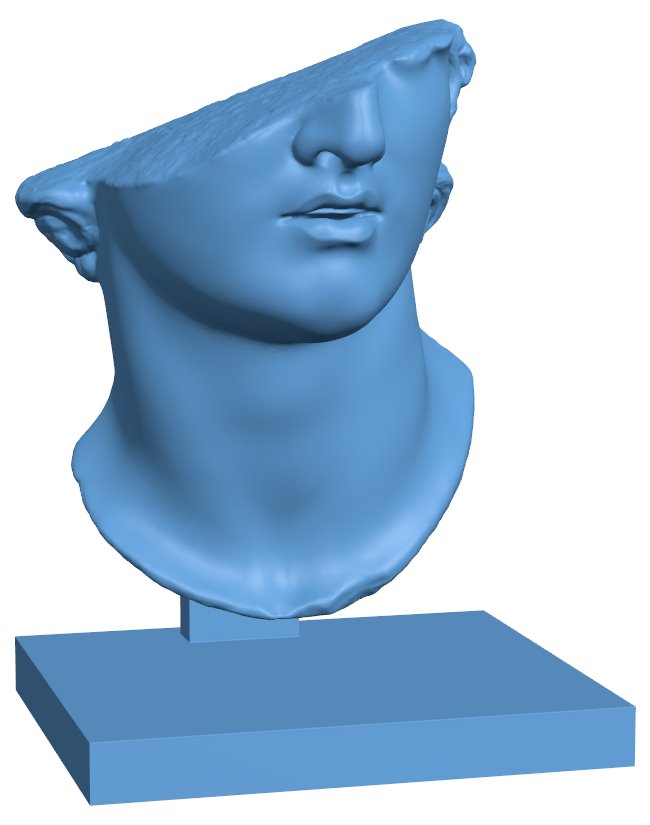 Fragmentary Colossal Head of a Youth