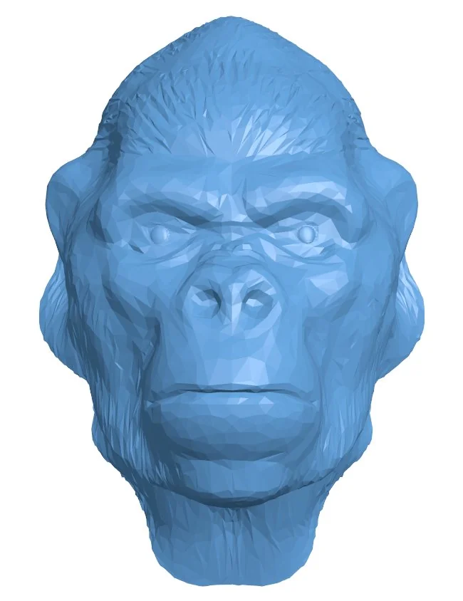 Gorilla Head