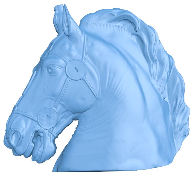 Horse head