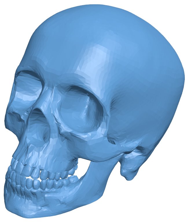 Human skull