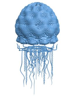 Lamp shaped jellyfish