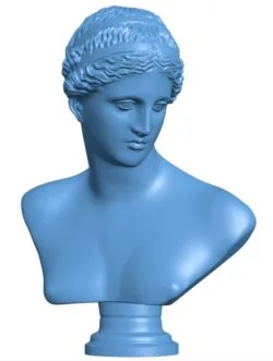 Louvre venus of arles bust women