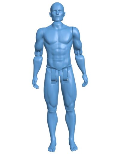 Male Articulated Figure