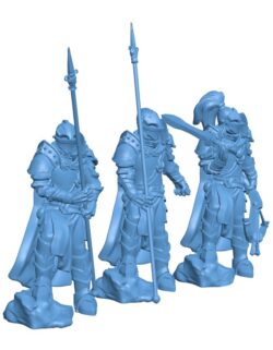 Medieval Knight Squad
