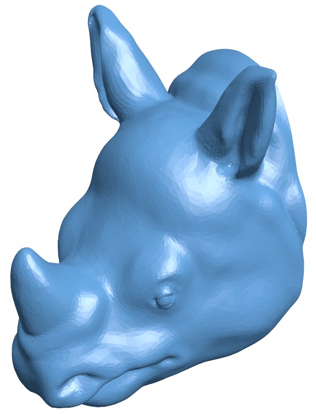 Rhino Head