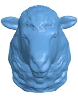 Sheep Head