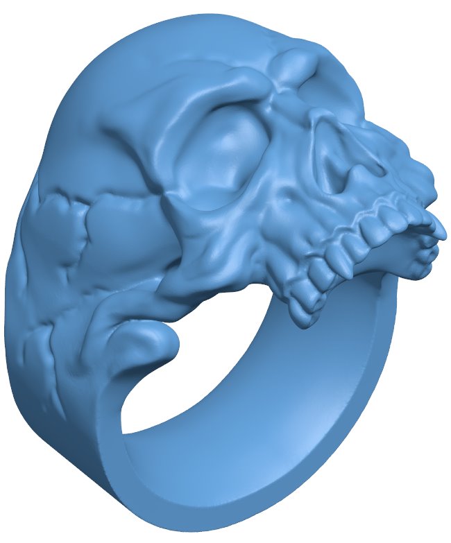 Skull Ring